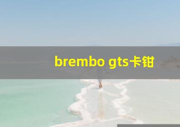 brembo gts卡钳